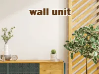 Định nghĩa & cách phát âm từ wall unit