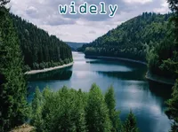 Định nghĩa & cách phát âm từ widely