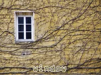 Định nghĩa & cách phát âm từ window
