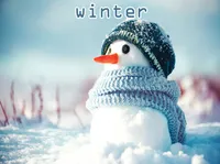Định nghĩa & cách phát âm từ winter