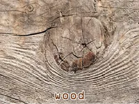 Định nghĩa & cách phát âm từ wood