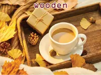 Định nghĩa & cách phát âm từ wooden