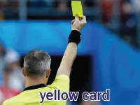 Định nghĩa & cách phát âm từ yellow card