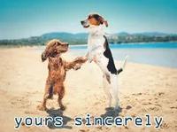 Định nghĩa & cách phát âm từ yours sincerely