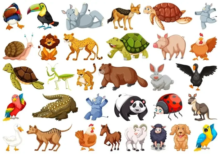 Học Từ Vựng Tiếng Anh Chủ Đề Động Vật: Khám phá thế giới tự nhiên
