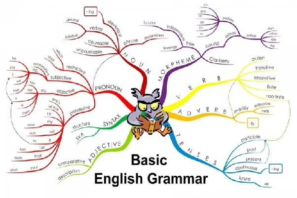 Mục tiêu 8-9 điểm, sĩ tử nên ôn thi đại học môn tiếng Anh như thế nào?