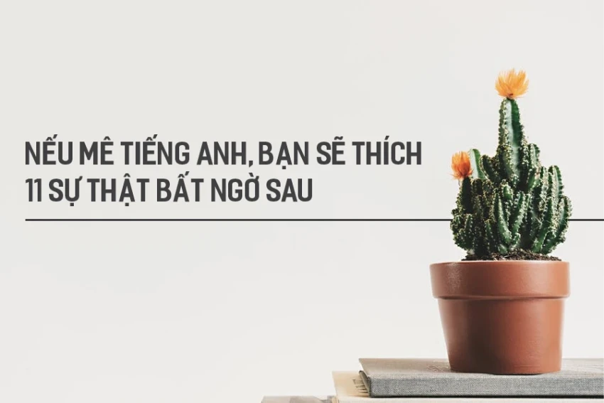 11 Sự thật thú vị chắc chắn bạn chưa biết về tiếng Anh