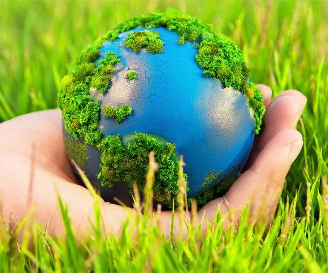 Top 5 bài văn tiếng anh về chủ đề môi trường hay nhất