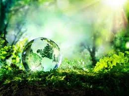 Tấm thảm bí ẩn của thời gian
