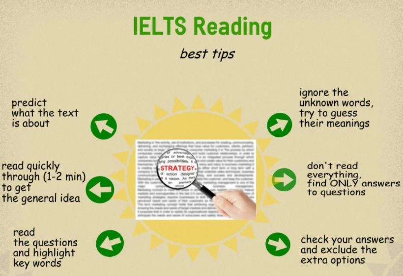 Luyện thi IELTS Reading: Chiến lược và Kinh nghiệm để Đạt Điểm Cao