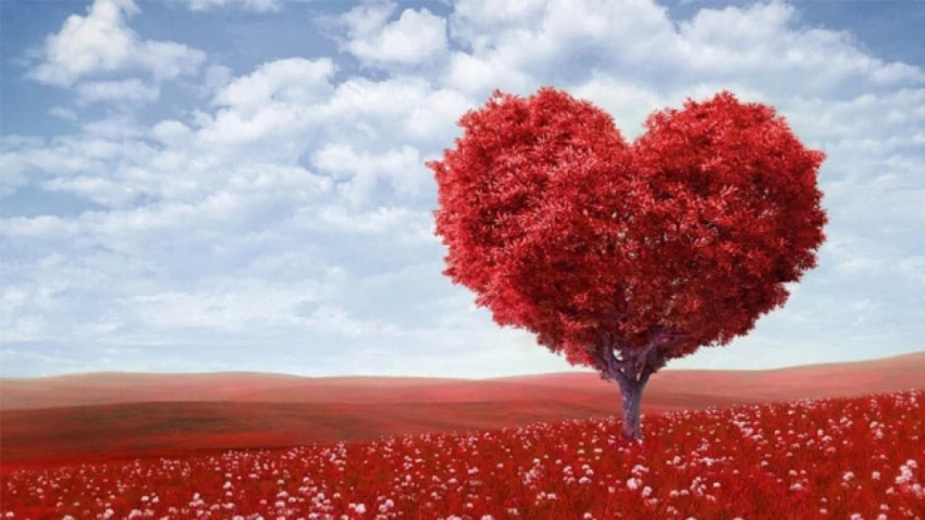 Từ Vựng Tiếng Anh Chủ Đề Valentine