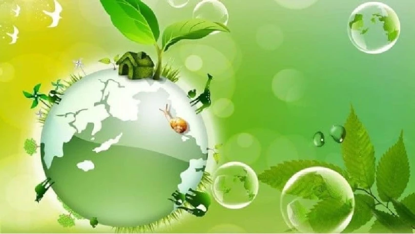 Top 5 bài văn tiếng anh về chủ đề môi trường hay nhất