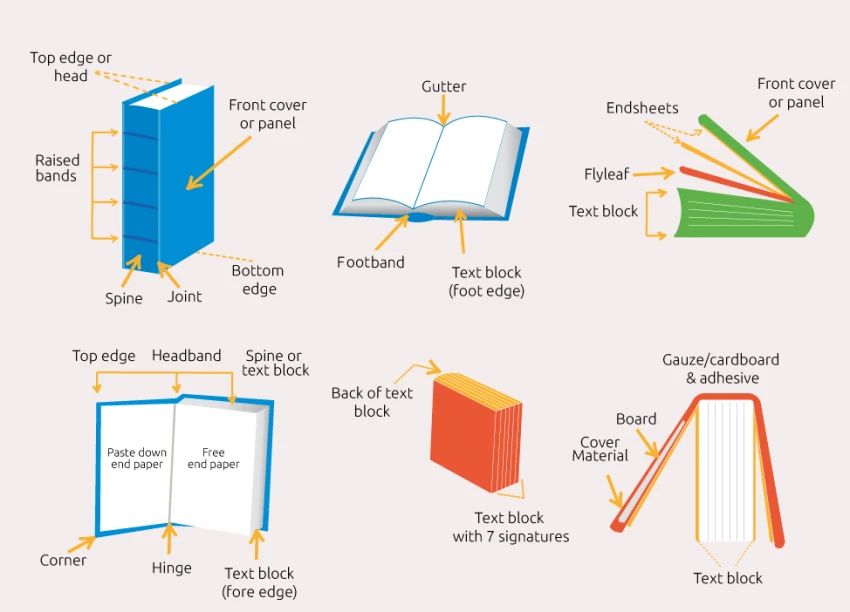 Tổng Hợp 100+ Từ Vựng Tiếng Anh Chủ Đề Sách (Books) Thiết Yếu Nhất