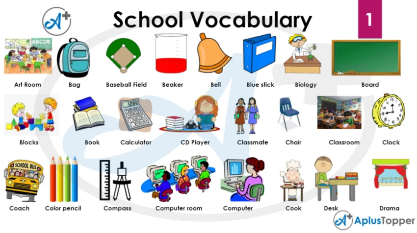 Tổng Hợp Từ Vựng Tiếng Anh Chủ Đề Giáo Dục (Education)