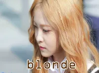 Định nghĩa & cách phát âm từ blonde