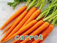Định nghĩa & cách phát âm từ carrot