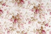 Định nghĩa & cách phát âm từ chintz