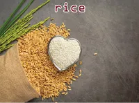 Định nghĩa & cách phát âm từ rice